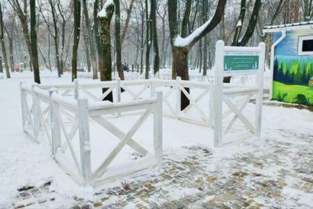 Куди у Києві приносити новорічні ялинки для екологічної утилізації